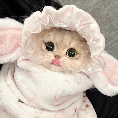 샤뷰's profile picture