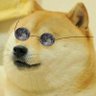 TheDogeKilluminati profil fotoğrafı