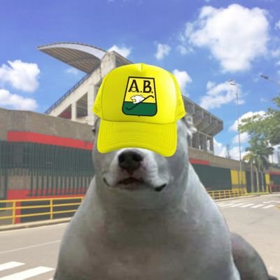 Sangreauriverde's profile picture