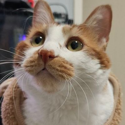 Fern's profile picture