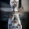 Superking profil fotoğrafı