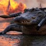 Profilbild von Gator