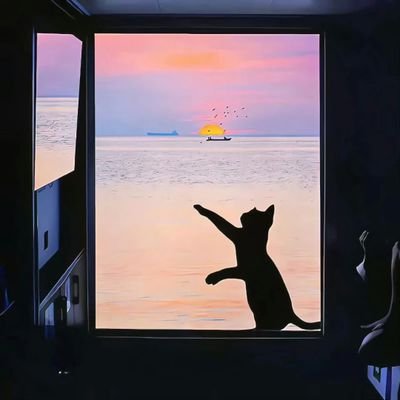 AriesZeroZHF's profile picture