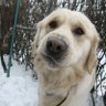 kalAmigo's profile picture