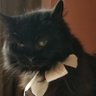 Profilbild von Chrysthanthi
