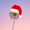 คุณเดซี่แม่ลูกบี๋ ✿・:*'s profile picture