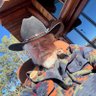 CENSORED Vet🇺🇸🇺🇸🇺🇸's profile picture