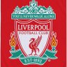 YNWA 的头像
