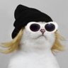 Profilbild von The Meme Mine