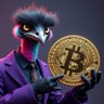 Profilbild von Crypto Cassowary