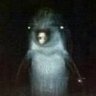 Pipico 🐝's profile picture