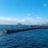 Blue Color ⛱️ 🚢's profile picture