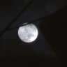 Meawku's profile picture