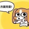 螺旋飞天大猫咪🐱 profil fotoğrafı