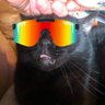 Sbeve's profile picture