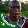 WAZALENDO 🇨🇩 USA's profile picture