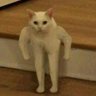 Profilbild von Antifarias