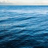blueocean 的头像