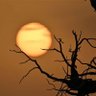 Фото профиля 🇬🇳 SYLLA Ousmane 🇬🇳