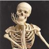 @GuilleMoles's profile picture