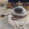 francis's profile picture