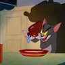 Profilbild von Shrรถdingerโs Black Cat๐พ๐ญ๐น