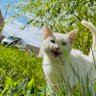 LEİLA profil fotoğrafı