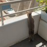 Gamze profil fotoğrafı
