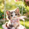 الماء profil fotoğrafı