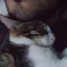 Aulë's profile picture