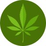 Фото профиля Weedpromocodes.com