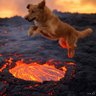 Фото профиля Sammy Samulson