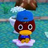 かこtea🧢(🐨)🐧🎁🦦🎁2月2日京セラオーラス参戦しました。感動👍's profile picture
