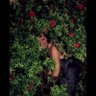FF54L profil fotoğrafı