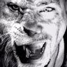Mikael_Lee's profile picture