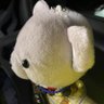 ちー母ちゃん 的头像