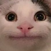 2001__to__'s profile picture