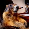 Фото профиля GrizzlyMarmot