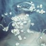 mel ʚїɞ's profile picture