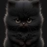 meg's profile picture