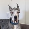 Фото профиля zeus