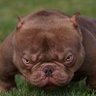 Фото профиля Avalonnnnn