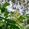 oumtaya's profile picture