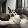 JACK profil fotoğrafı
