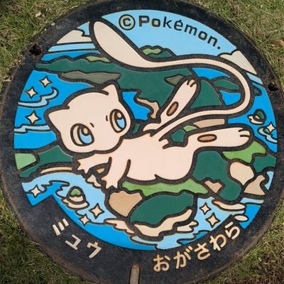 fighter_pokemon's profile picture