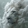 DchAin's profile picture