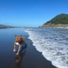 RicardoHardo profil fotoğrafı