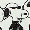 Amelia's profile picture