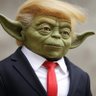 Profilbild von Yoda Trump