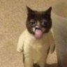 Profilbild von pikuyyy